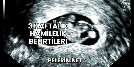 3 Haftalık Hamilelik Belirtileri