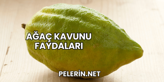 Ağaç Kavunu Faydaları