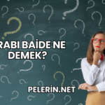 Arabı Baide Ne Demek?