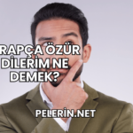 Arapça Özür Dilerim Ne Demek?