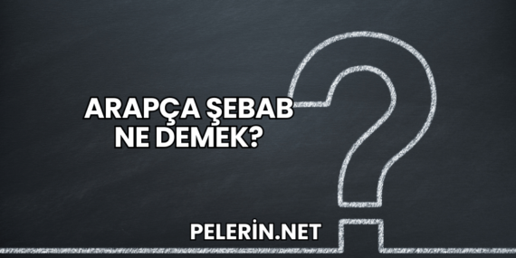 Arapça Şebab Ne Demek?