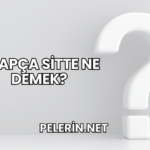 Arapça Sitte Ne Demek?