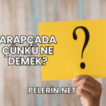 Arapçada Çünkü Ne Demek?