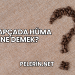 Arapçada Hüma Ne Demek?