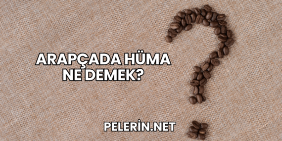 Arapçada Hüma Ne Demek?