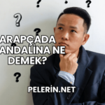 Arapçada Mandalina Ne Demek?