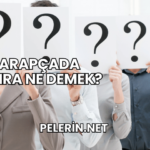 Arapçada Zehra Ne Demek?