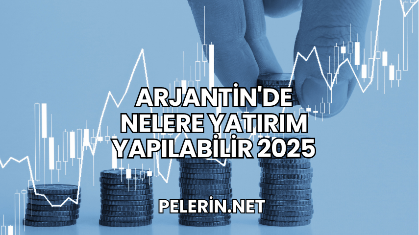 Arjantin'de Nelere Yatırım Yapılabilir 2025
