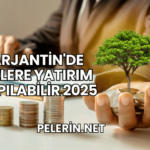 Arjantin'de Nelere Yatırım Yapılabilir 2025