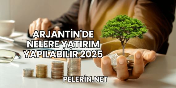 Arjantin’de Nelere Yatırım Yapılabilir 2025