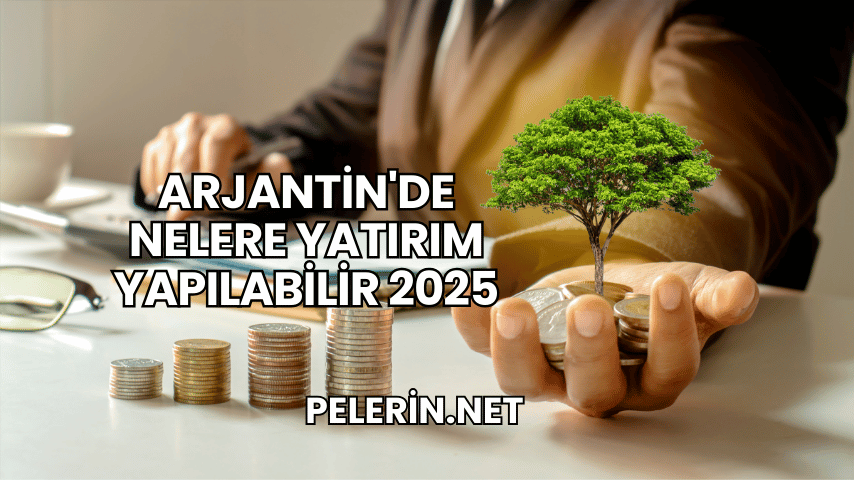 Arjantin'de Nelere Yatırım Yapılabilir 2025