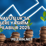 Arnavutluk'ta Nelere Yatırım Yapılabilir 2025