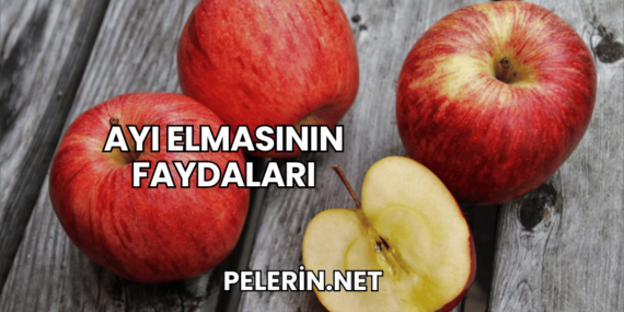 Ayı Elmasının Faydaları