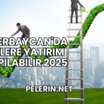 Azerbaycan'da Nelere Yatırım Yapılabilir 2025
