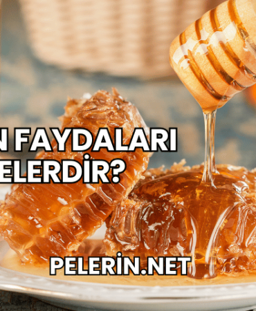 Balın Faydaları Nelerdir?