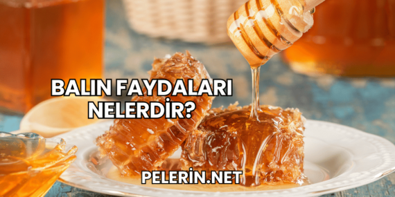 Balın Faydaları Nelerdir?