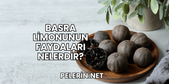 Basra Limonunun Faydaları Nelerdir?