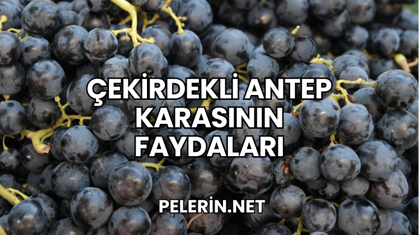 Çekirdekli Antep Karasının Faydaları