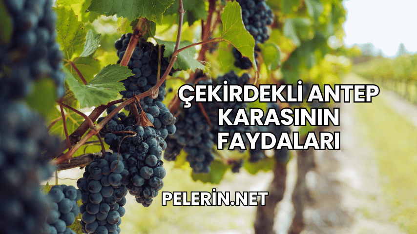 Çekirdekli Antep Karasının Faydaları