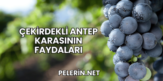 Çekirdekli Antep Karasının Faydaları