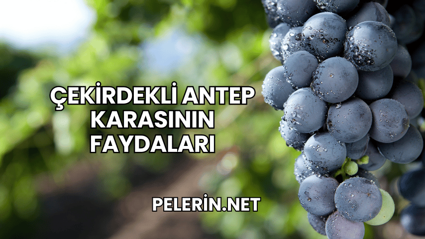 Çekirdekli Antep Karasının Faydaları