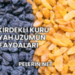 Çekirdekli Kuru Siyah Üzümün Faydaları
