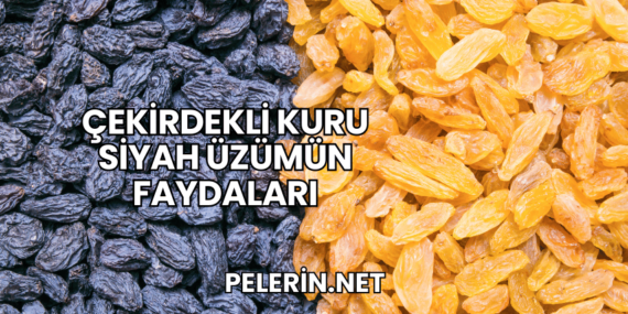 Çekirdekli Kuru Siyah Üzümün Faydaları