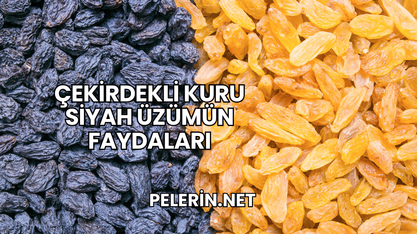 Çekirdekli Kuru Siyah Üzümün Faydaları