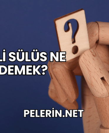Celi Sülüs Ne Demek?
