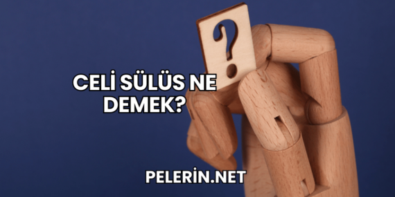 Celi Sülüs Ne Demek?