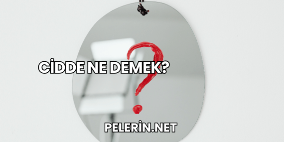 Cidde Ne Demek?