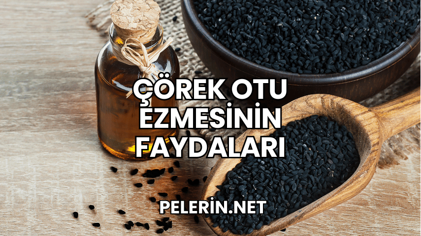 Çörek Otu Ezmesinin Faydaları