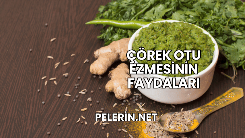 Çörek Otu Ezmesinin Faydaları