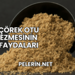 Çörek Otu Ezmesinin Faydaları