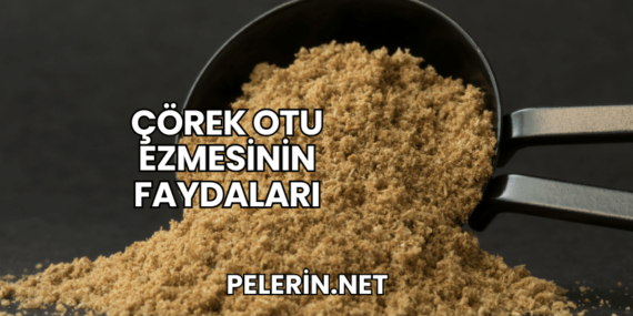 Çörek Otu Ezmesinin Faydaları