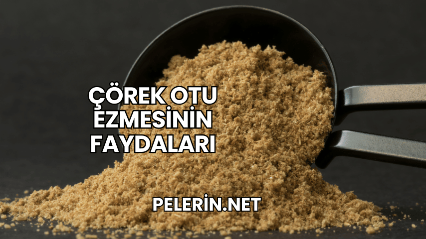 Çörek Otu Ezmesinin Faydaları