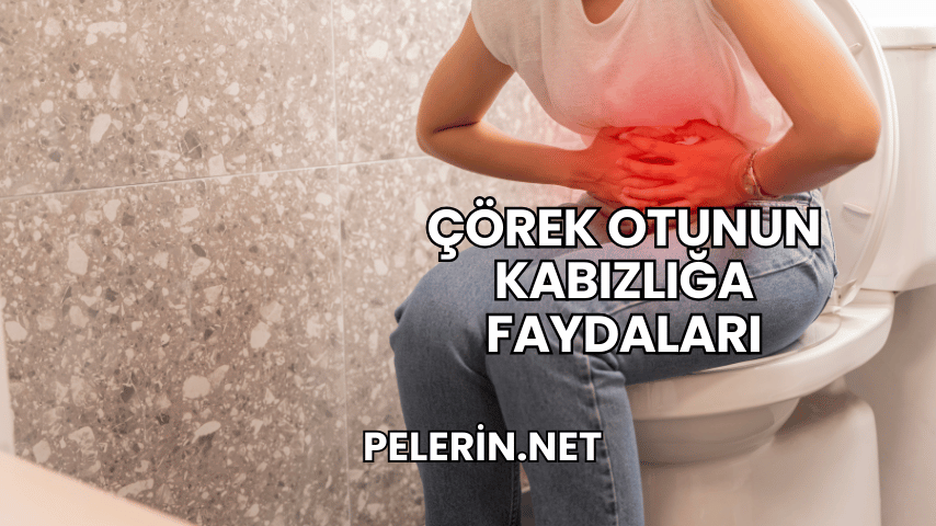 Çörek Otunun Kabızlığa Faydaları