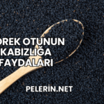 Çörek Otunun Kabızlığa Faydaları