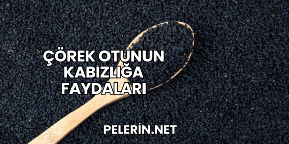 Çörek Otunun Kabızlığa Faydaları