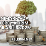 Danimarka'da Nelere Yatırım Yapılabilir 2025