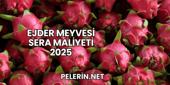 Ejder Meyvesi Sera Maliyeti 2025