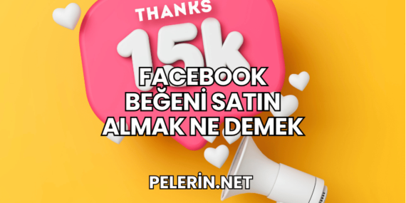 Facebook Beğeni Satın Almak Ne Demek