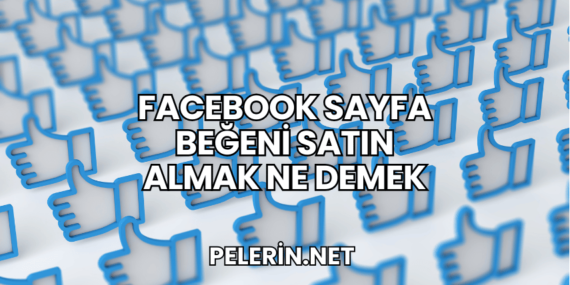 Facebook Sayfa Beğeni Satın Almak Ne Demek