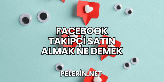 Facebook Takipçi Satın Almak Ne Demek