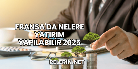 Fransa’da Nelere Yatırım Yapılabilir 2025