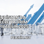 Hindistan'da Nelere Yatırım Yapılabilir 2025