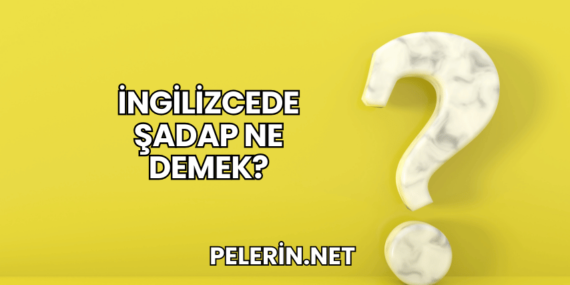 İngilizcede Şadap Ne Demek?