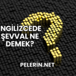 İngilizcede Şevval Ne Demek?