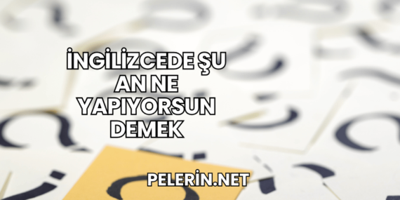 İngilizcede Şu An Ne Yapıyorsun Demek