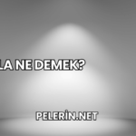 İzla Ne Demek?